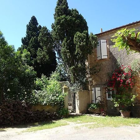 Sigean - Maison Domaine Viticole, 6 Km De La Mer المظهر الخارجي الصورة