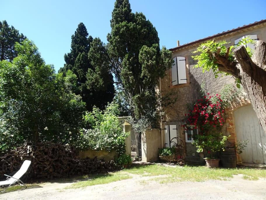 Sigean - Maison Domaine Viticole, 6 Km De La Mer المظهر الخارجي الصورة